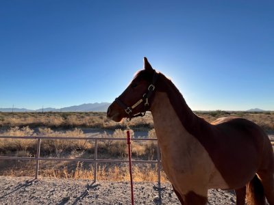 IMG_5564.jpeg IMG_5564.jpeg