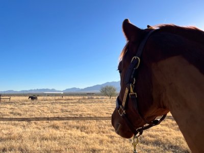 IMG_5573.jpeg IMG_5573.jpeg