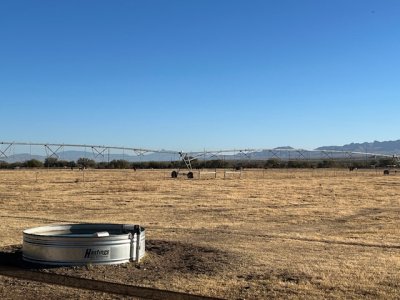 IMG_5574.jpeg IMG_5574.jpeg