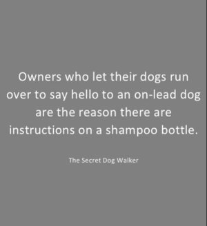 1734602749475.jpeg 1734602749475.jpeg