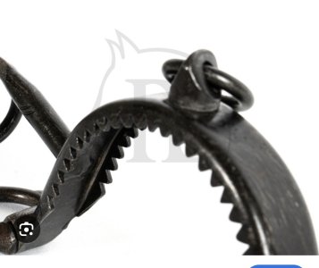 Screenshot_20241219_212918_Samsung Internet.jpg