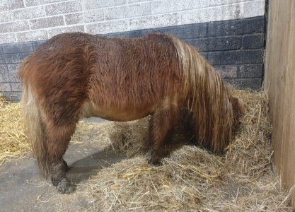 Screenshot_20241220_134054_Gallery.jpg Screenshot_20241220_134054_Gallery.jpg