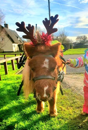 Screenshot_20241215_150325_Gallery.jpg Screenshot_20241215_150325_Gallery.jpg