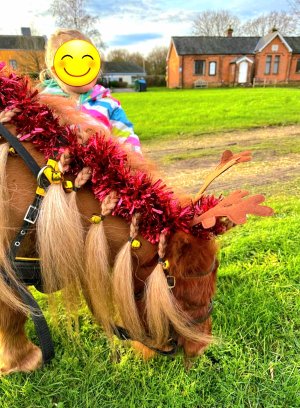 Screenshot_20241215_150457_WhatsApp.jpg Screenshot_20241215_150457_WhatsApp.jpg