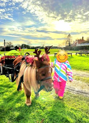 Screenshot_20241220_133303_Gallery.jpg Screenshot_20241220_133303_Gallery.jpg