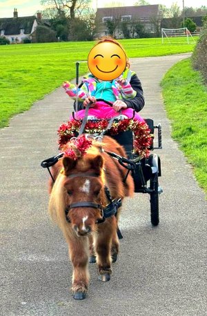 Screenshot_20241220_133509_Gallery.jpg Screenshot_20241220_133509_Gallery.jpg