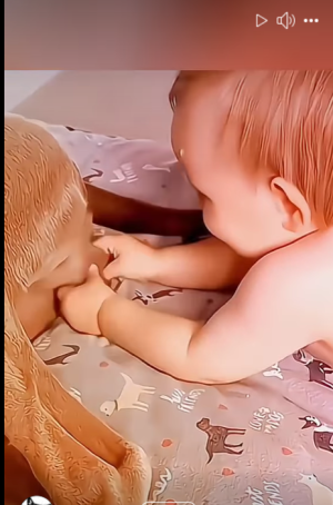 1734963717801.png 1734963717801.png