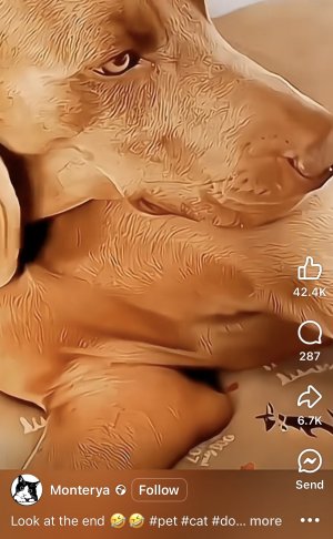 A0053AF1-388E-477D-9030-9C097BBFD848.jpeg A0053AF1-388E-477D-9030-9C097BBFD848.jpeg