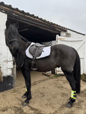 Screenshot 2024-12-23 at 20.25.42.png