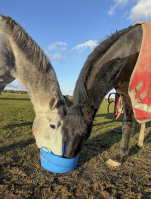 Screenshot 2024-12-23 at 20.28.16.png