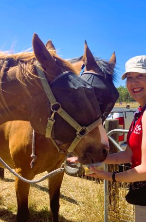 Christmas cookies with the boys 25 dec 2024.jpg