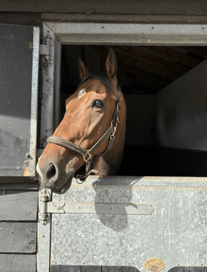 Screenshot 2024-12-30 at 11.11.59.png Screenshot 2024-12-30 at 11.11.59.png