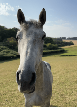 Screenshot 2024-12-30 at 11.10.45.png Screenshot 2024-12-30 at 11.10.45.png