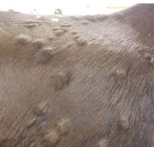 Screenshot_20250102_140315_Samsung Internet.jpg