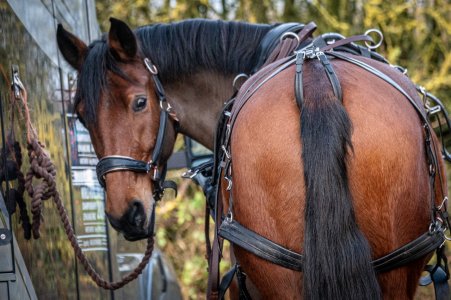 IMG_1744.jpeg IMG_1744.jpeg