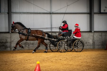 IMG_1745.jpeg IMG_1745.jpeg