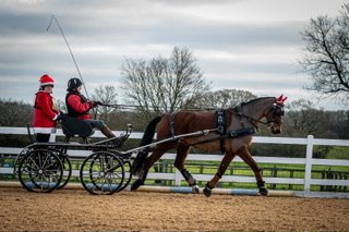 IMG_1742.jpeg IMG_1742.jpeg