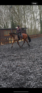 IMG_1738.png IMG_1738.png