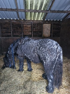 20250105_090320.jpg 20250105_090320.jpg