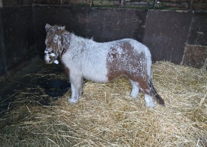 20250105_090326.jpg 20250105_090326.jpg