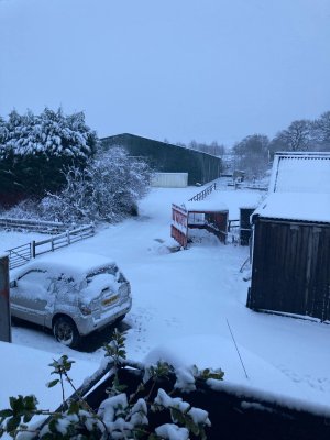 1000002117.jpg 1000002117.jpg