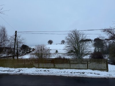 IMG_5186.jpeg IMG_5186.jpeg