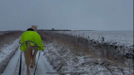 IMG_5187.jpeg IMG_5187.jpeg