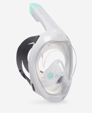 Screenshot 2025-01-05 at 15-46-31 Adult’s Easybreath Surface Mask — Grey with 2024 bag SUBEA D...png