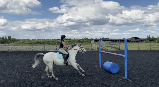 Screenshot 2025-01-05 at 15.46.43 (1) (1).png Screenshot 2025-01-05 at 15.46.43 (1) (1).png