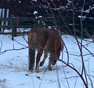 1000002122.jpg 1000002122.jpg