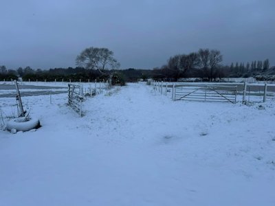 IMG_0439.jpeg IMG_0439.jpeg