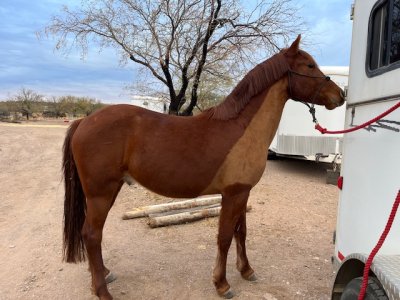 IMG_5911.jpeg IMG_5911.jpeg