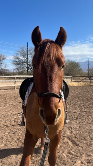 IMG_5979.jpeg IMG_5979.jpeg