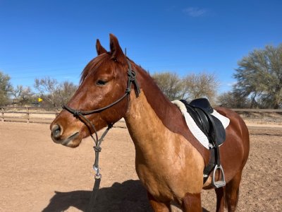 IMG_5962.jpeg IMG_5962.jpeg