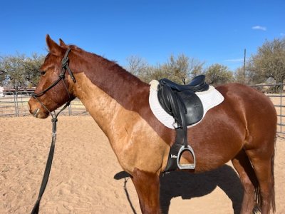 IMG_5966.jpeg IMG_5966.jpeg