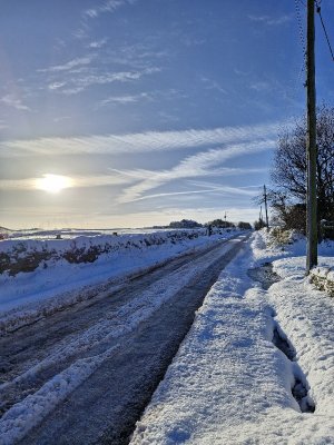 20250110_103312.jpg 20250110_103312.jpg