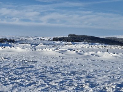 20250110_104652.jpg 20250110_104652.jpg