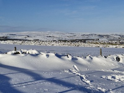 20250110_104825.jpg 20250110_104825.jpg