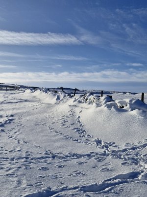 20250110_105019.jpg 20250110_105019.jpg