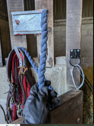 1736549013543.png 1736549013543.png