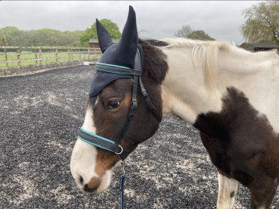 IMG_1943.jpeg IMG_1943.jpeg