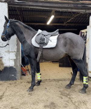 Screenshot 2025-01-11 at 10.35.10.png Screenshot 2025-01-11 at 10.35.10.png