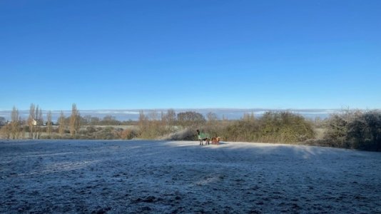 e786e410-0079-40b4-a1f1-2558b5cb02d4.jpeg e786e410-0079-40b4-a1f1-2558b5cb02d4.jpeg