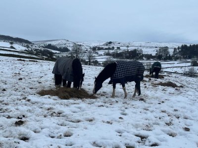 IMG_9324.jpg IMG_9324.jpg