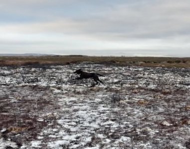 FullSizeRender.jpeg FullSizeRender.jpeg