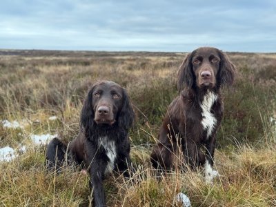 IMG_3257.jpeg IMG_3257.jpeg