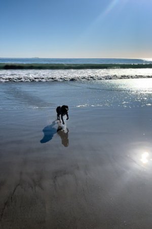 IMG_6146.jpeg IMG_6146.jpeg