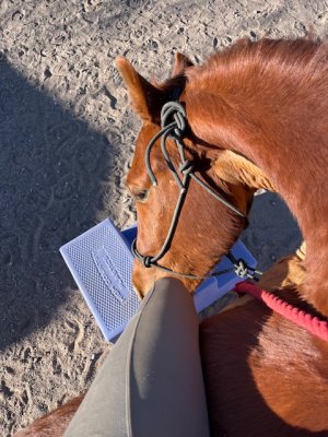 IMG_6169.jpeg IMG_6169.jpeg