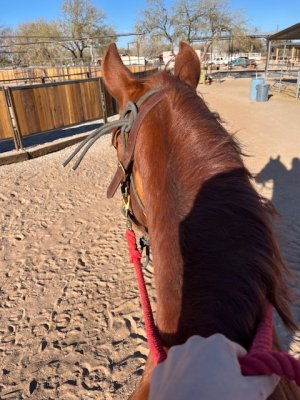 IMG_6174.jpeg IMG_6174.jpeg