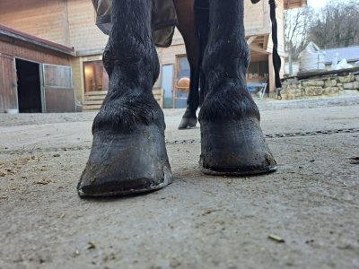 WhatsApp Image 2025-01-17 at 16.52.37 (1).jpeg